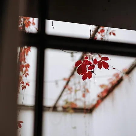 فندق مبيت وإفطار Suite1212 - Pirrelli