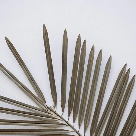 Suite1212 - Pirrelli Bed & Breakfast Monopoli